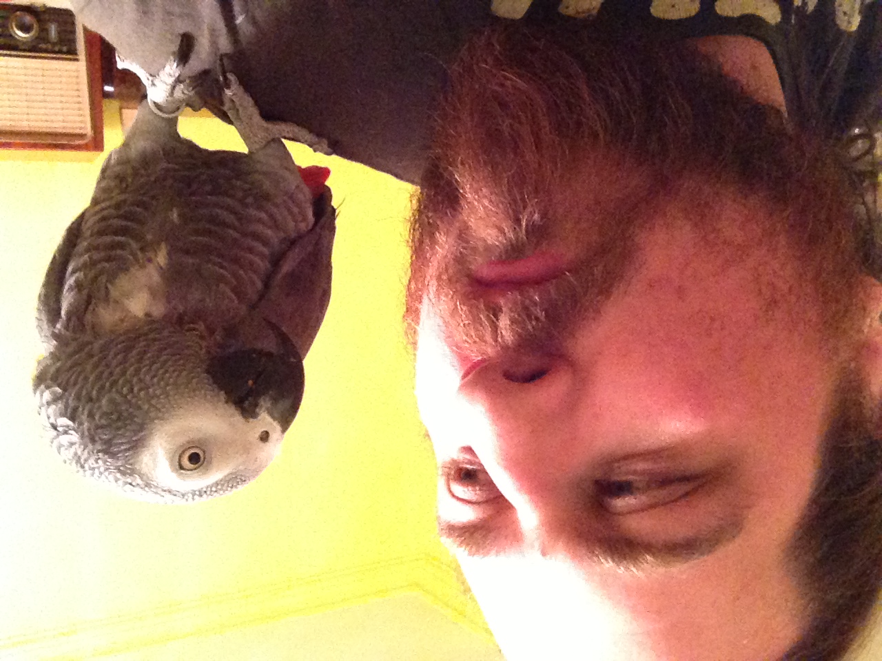 John%20Harlacher%20pic